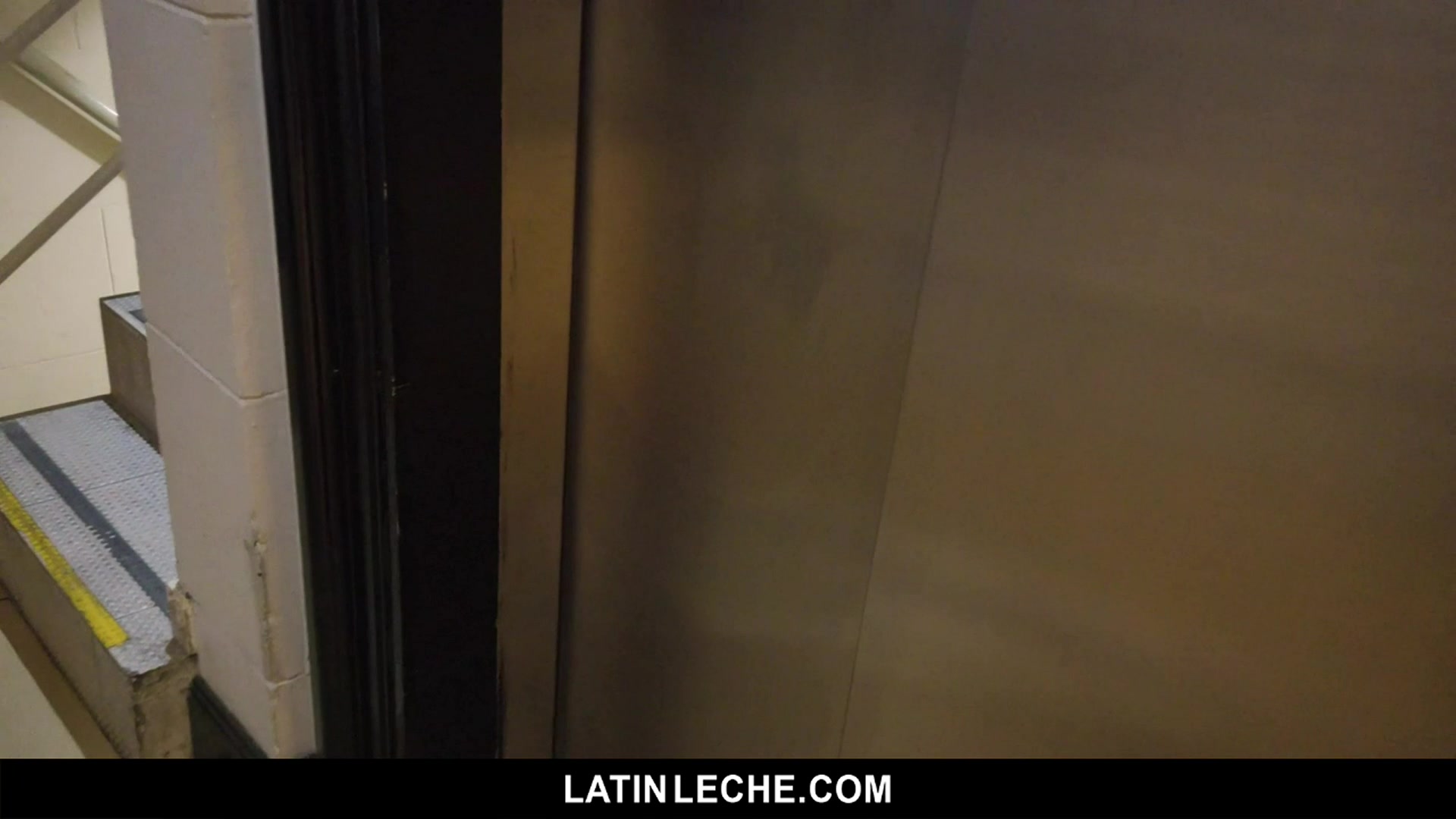 Numero 116 - LatinLeche