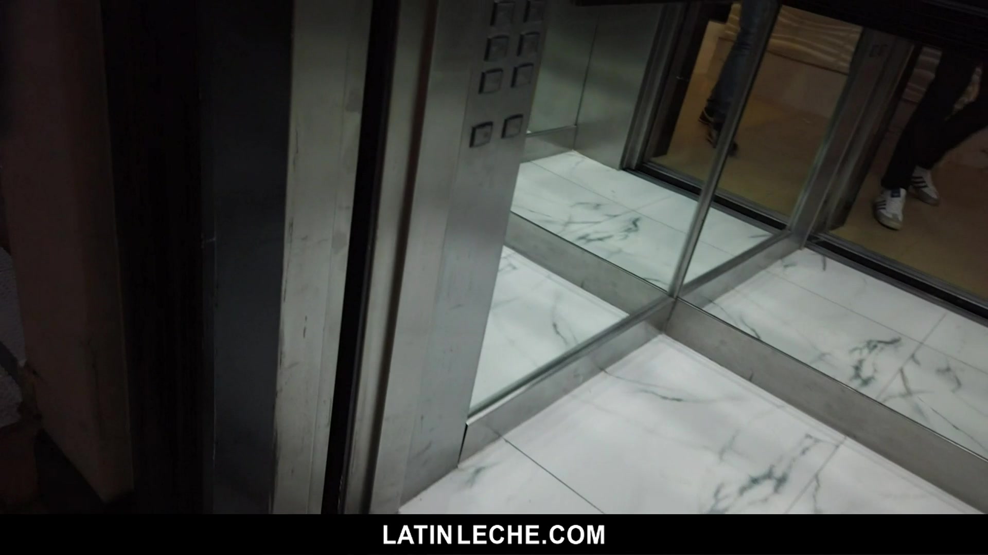 Numero 116 - LatinLeche