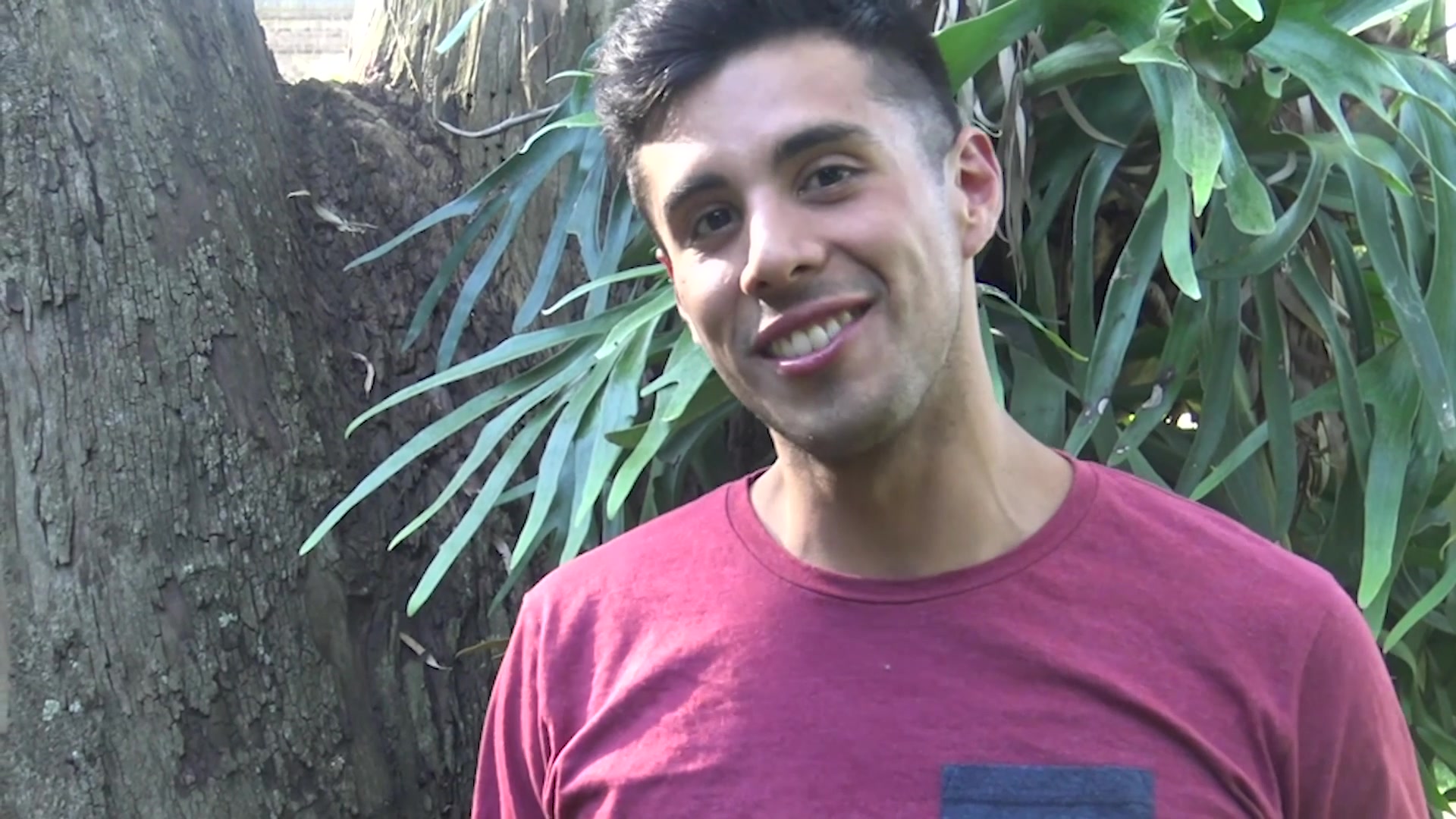Numero 136 - LatinLeche