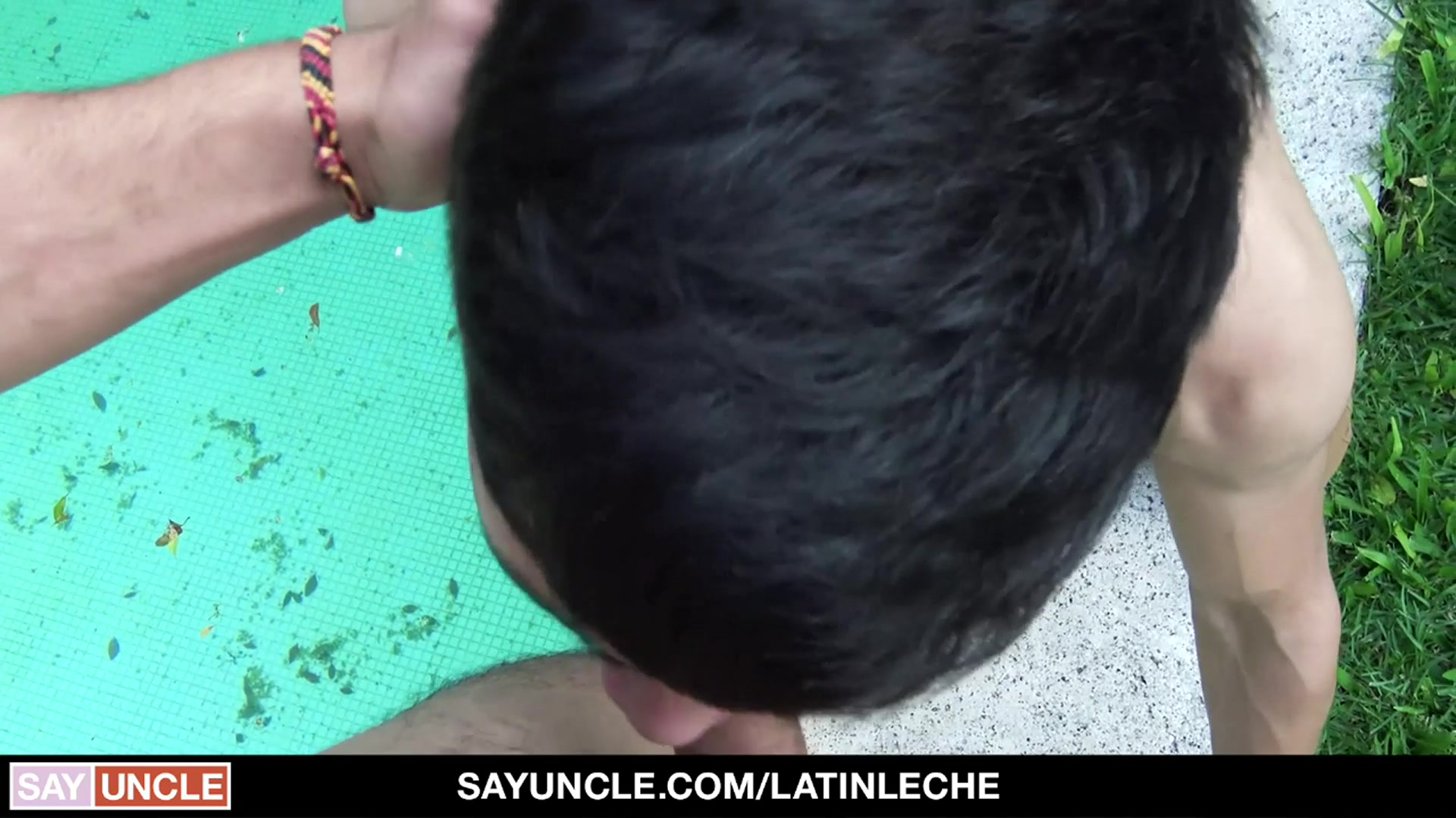 Numero 136 - LatinLeche