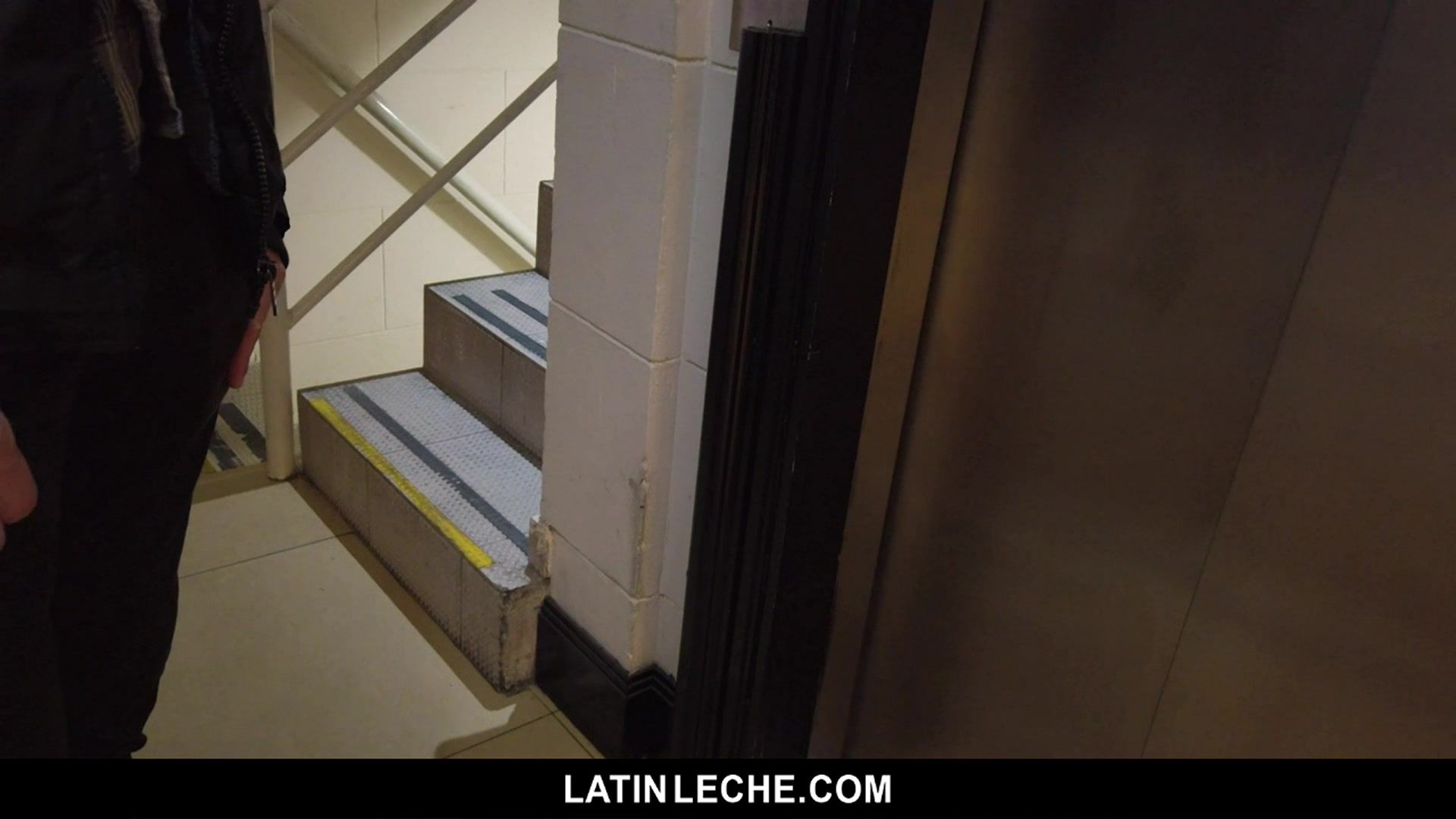Numero 116 - LatinLeche