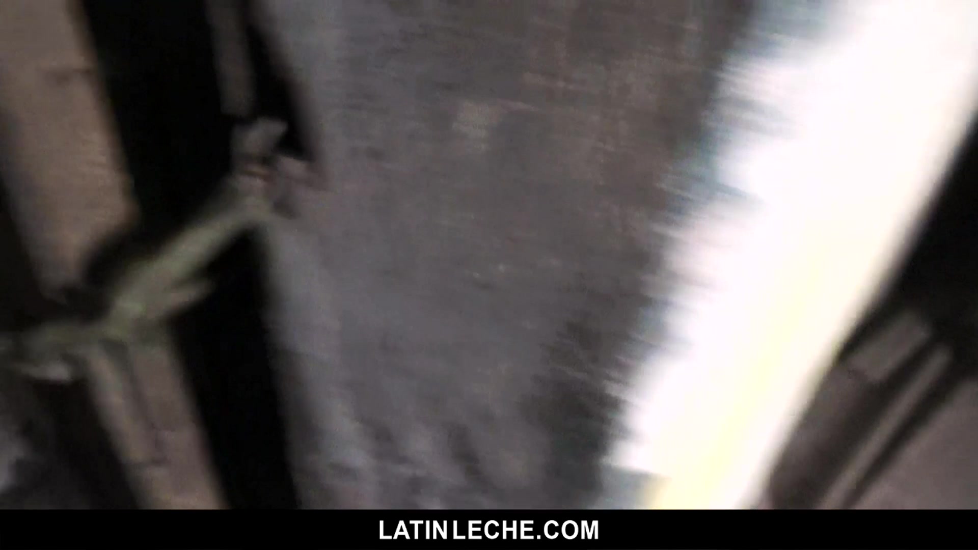 Numero 118 - LatinLeche