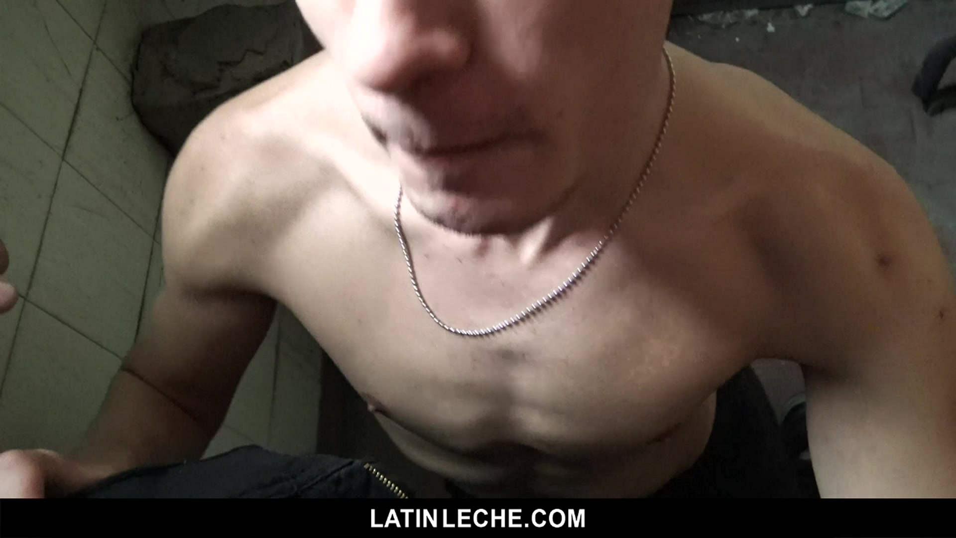 Numero 118 - LatinLeche