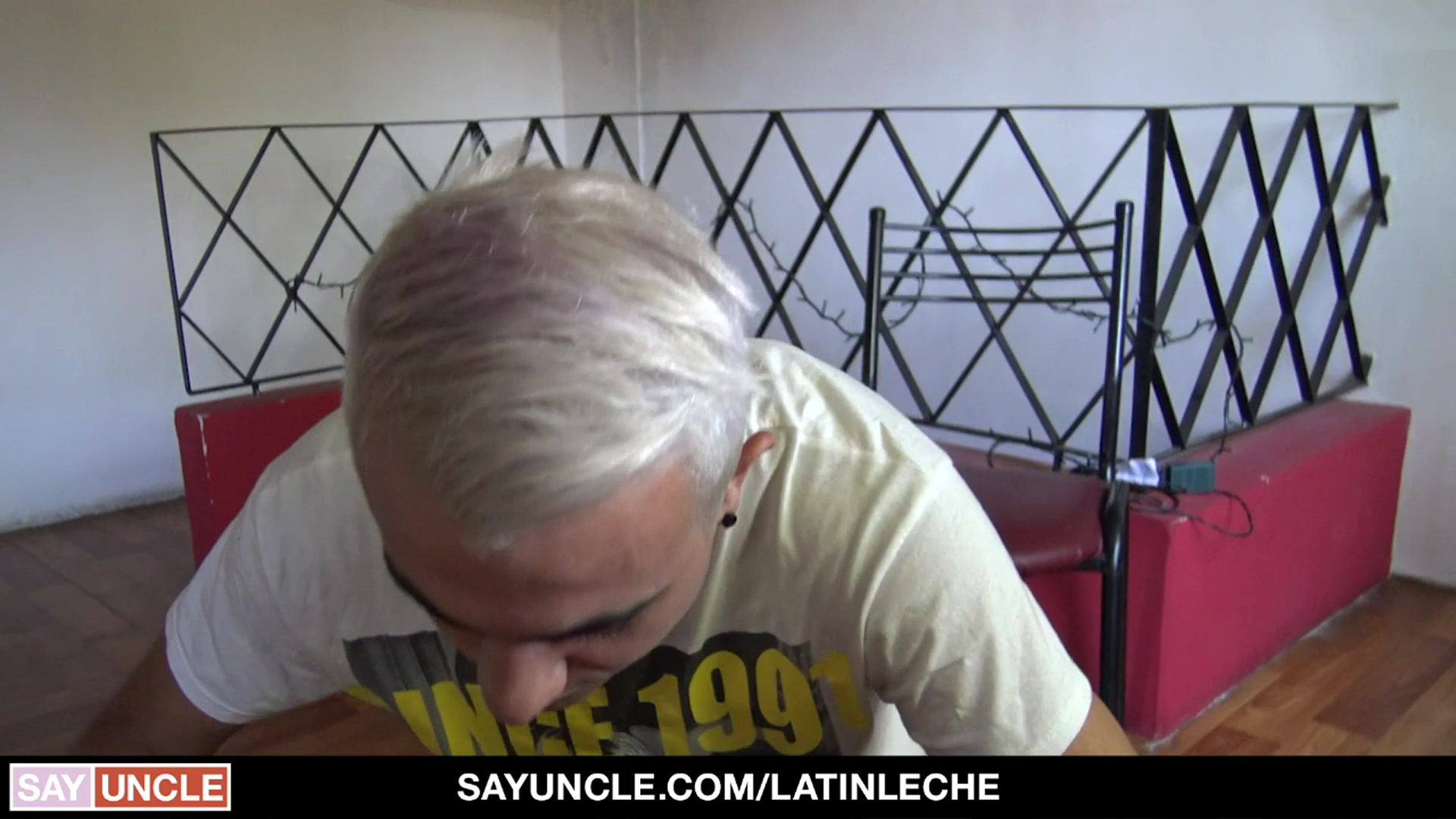 Numero 134 - LatinLeche