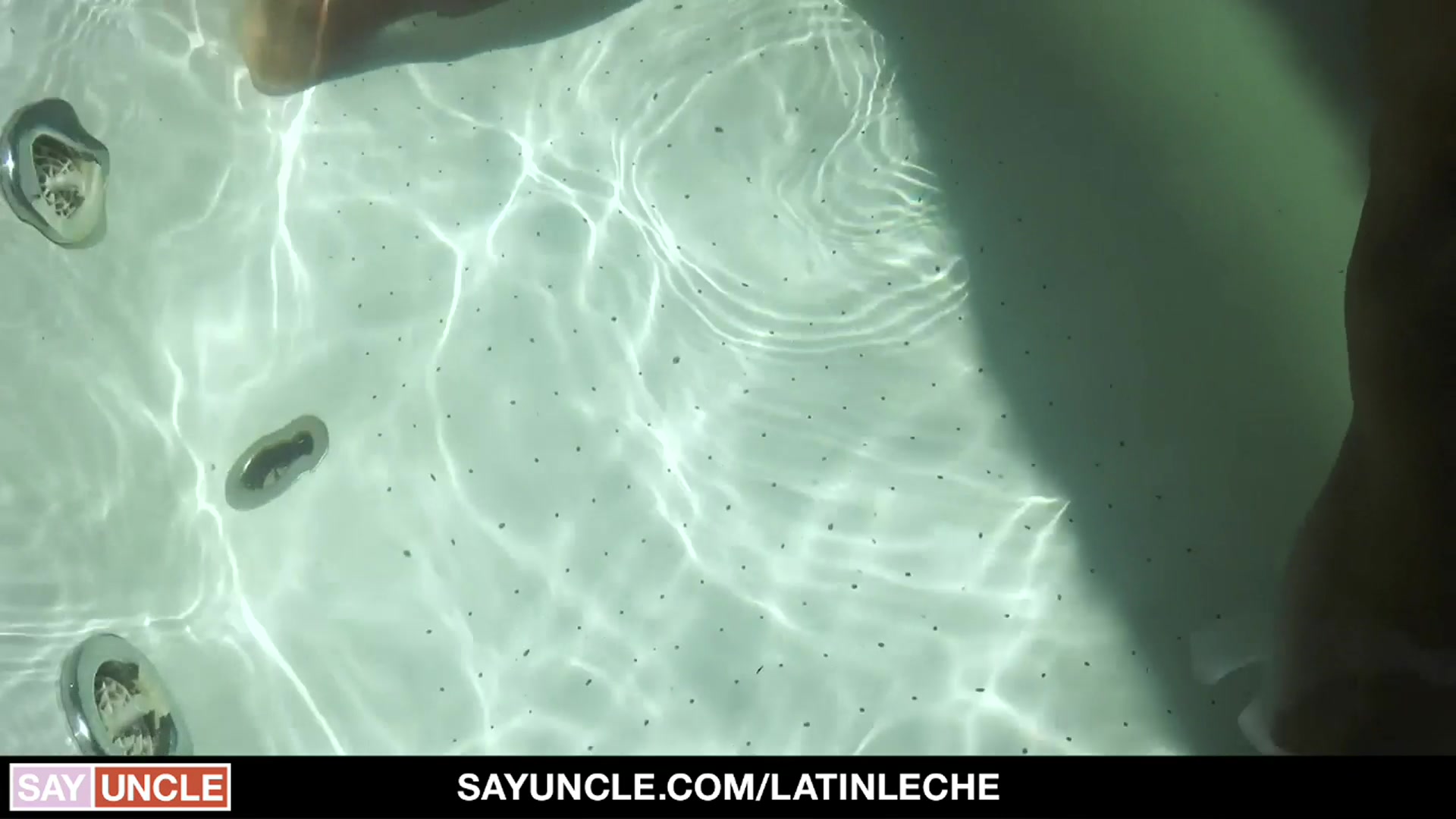 Numero 135 - LatinLeche