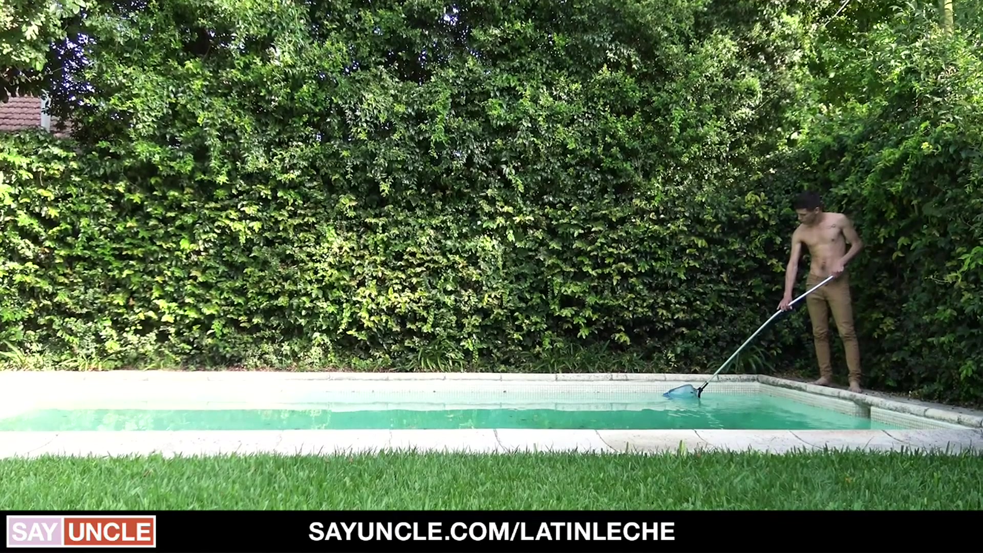 Numero 136 - LatinLeche