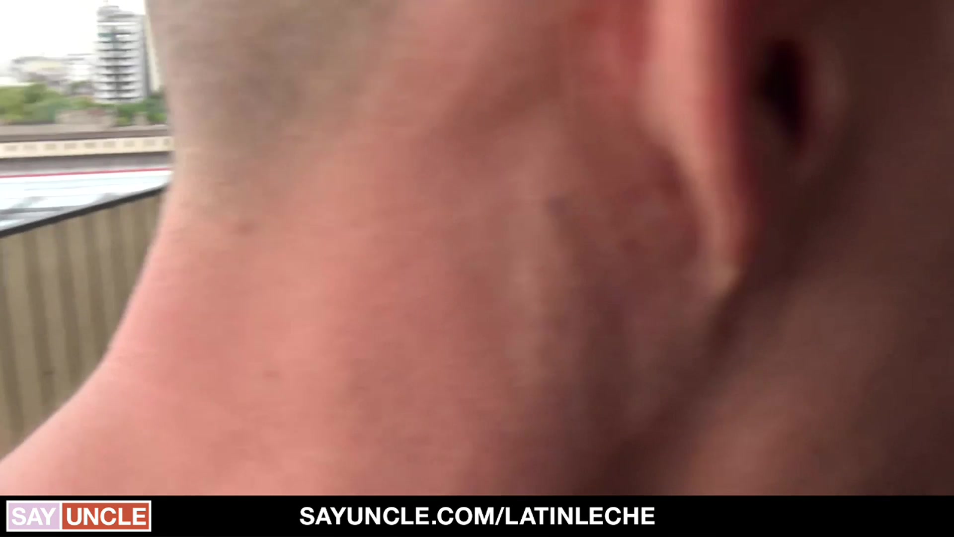 Numero 141 - LatinLeche