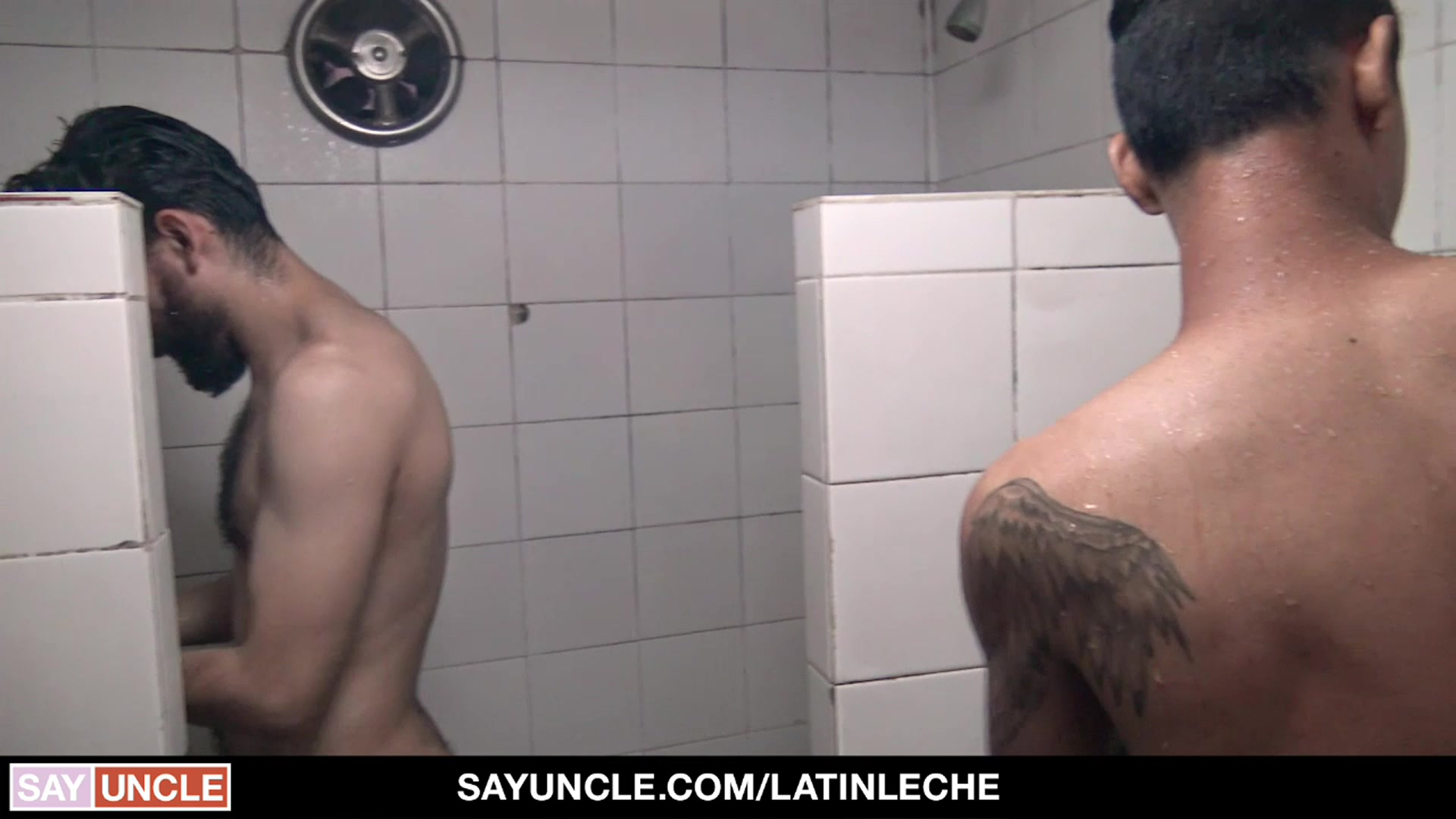 Numero 142 - LatinLeche