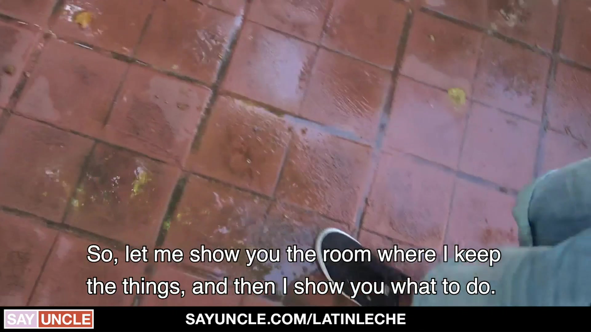 Numero 144 - LatinLeche