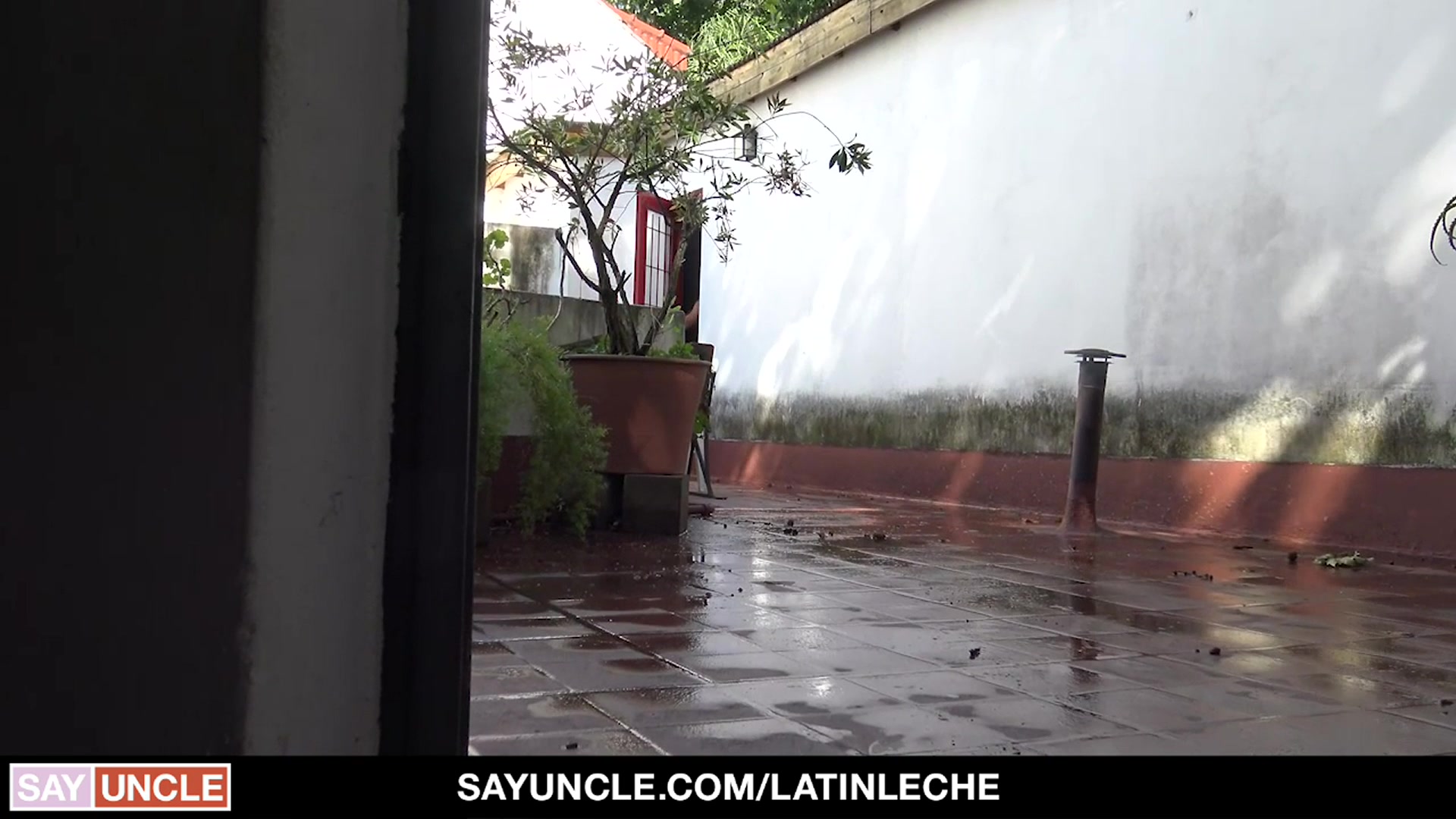 Numero 144 - LatinLeche