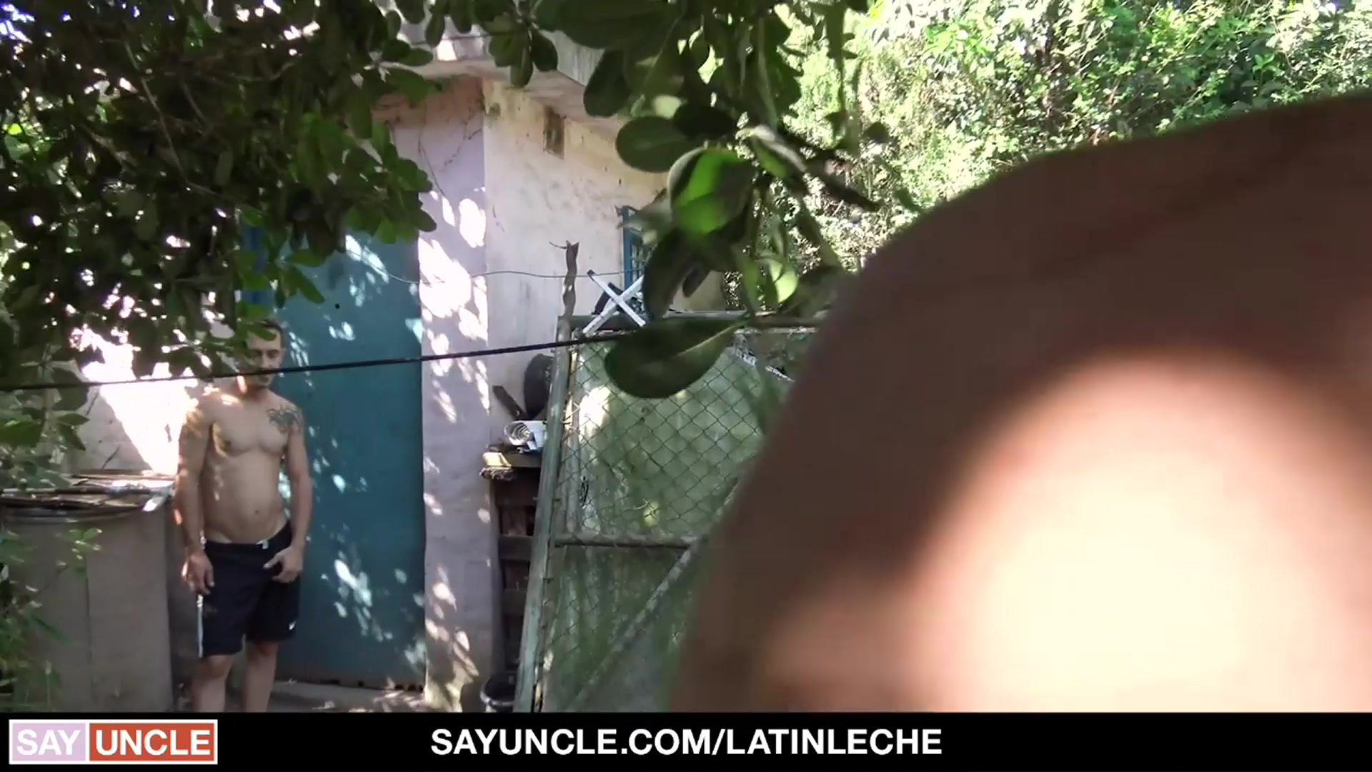 Numero 149 - LatinLeche