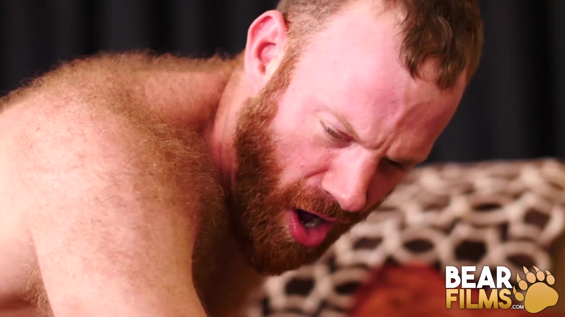 BEARFILMS Step daddy Marc Giacomo Fucks Ginger Stud After Blowjob