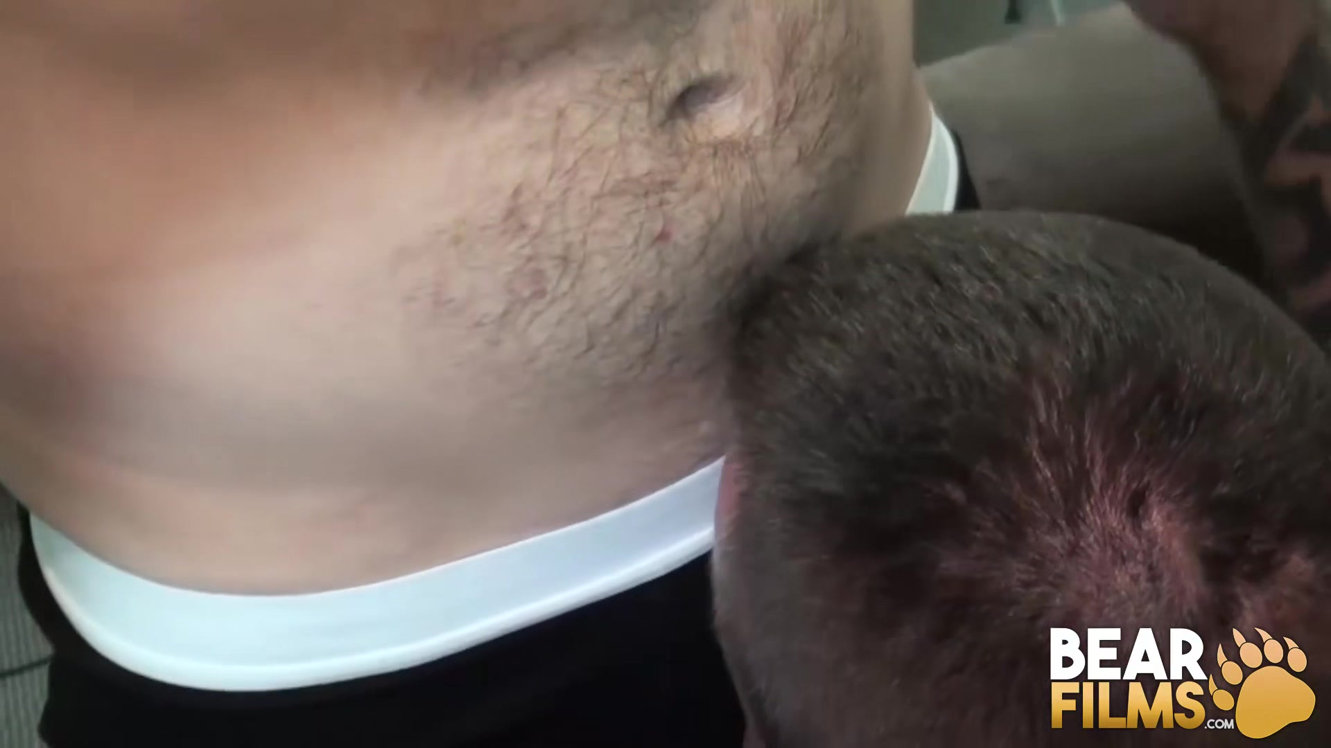 BEARFILMS Marc Angelo Meets Horny Bear For Juicy Blowjobs