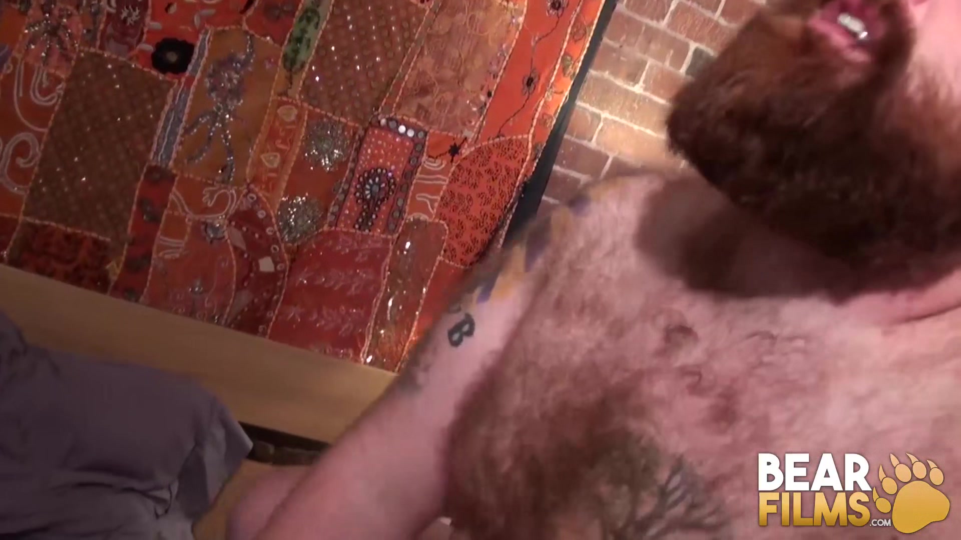 BEARFILMS Hairy Gruff Hunter Bangs With Bear After Blowjob