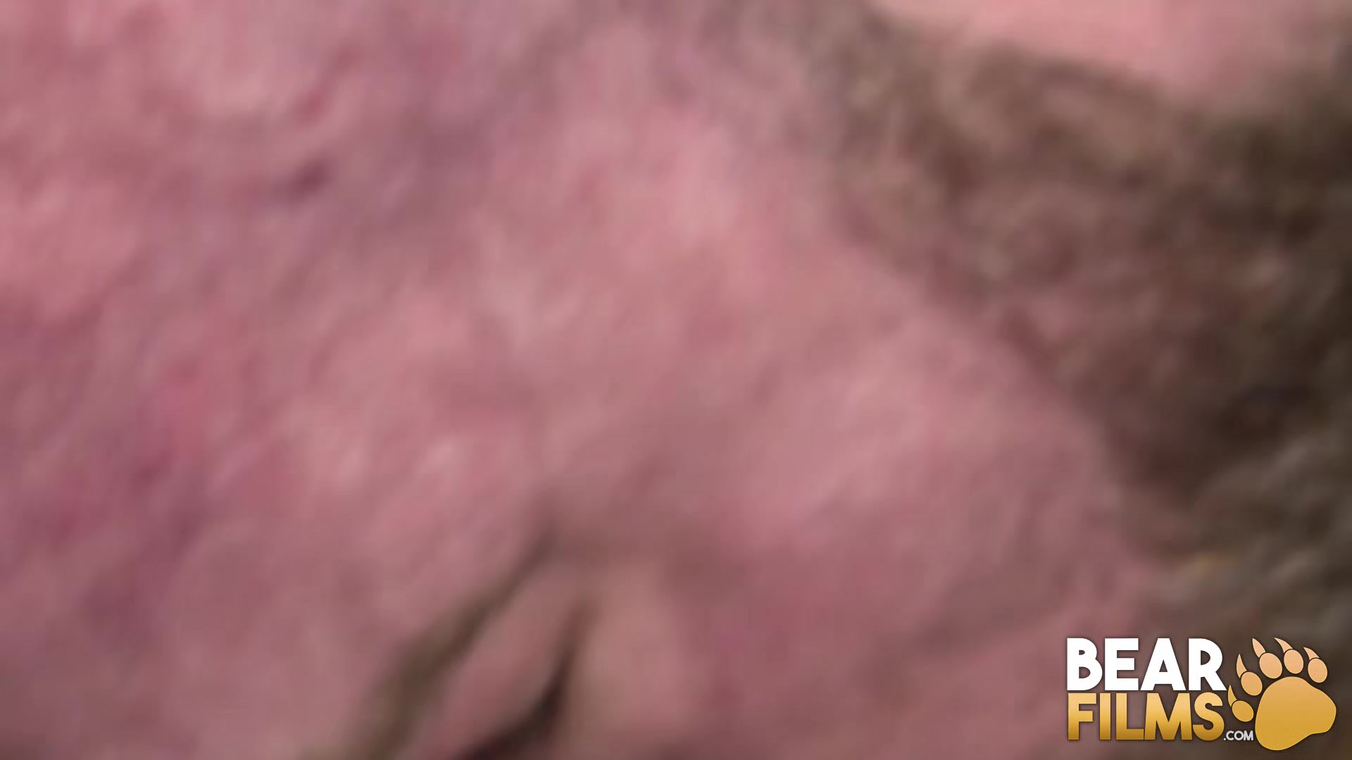 BEARFILMS Inked Bear Jack Dixon Sucked Off Before Fucking Raw