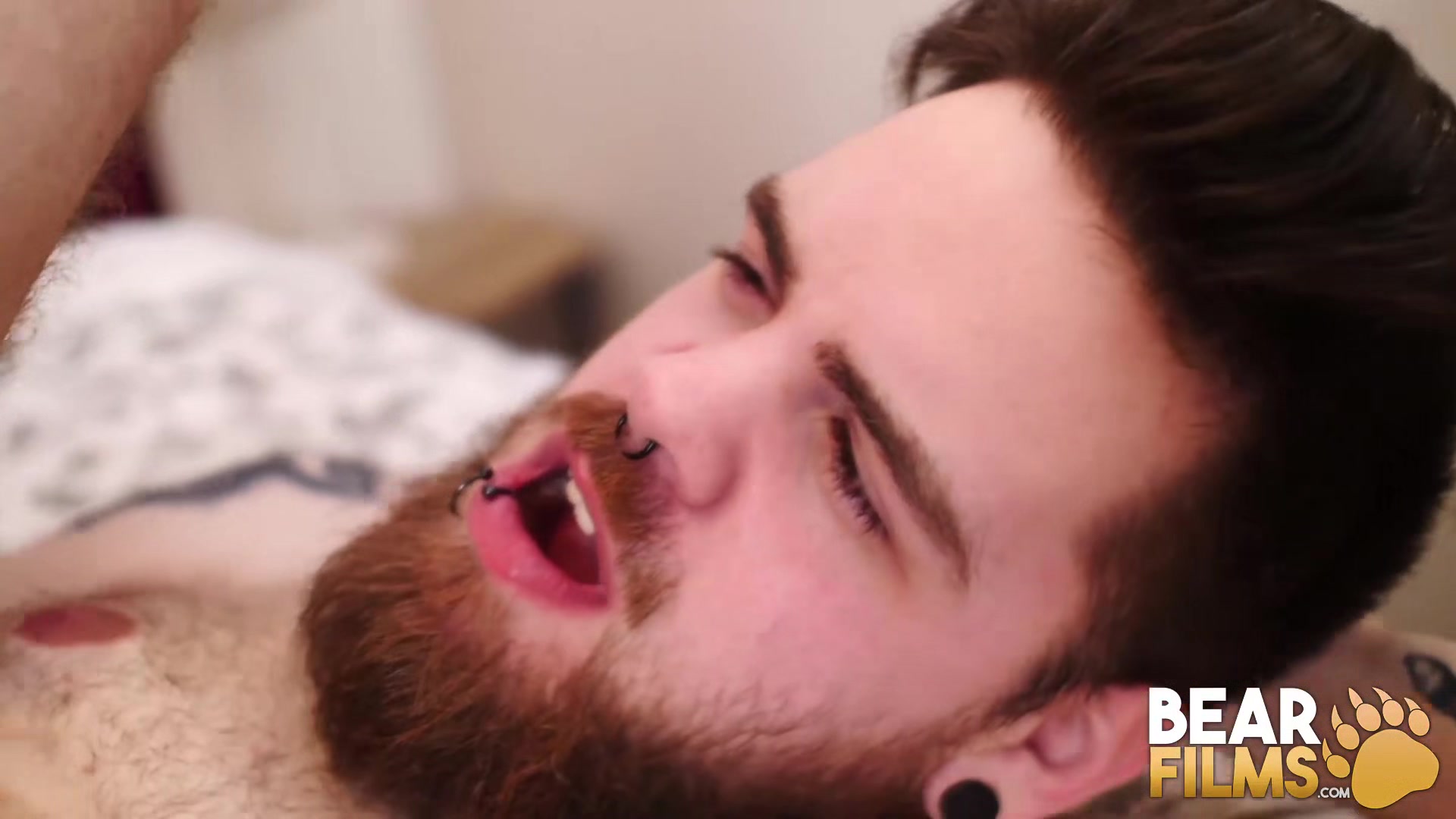 BEARFILMS Young Big Bear Claudio White Swaps Head And Fucks