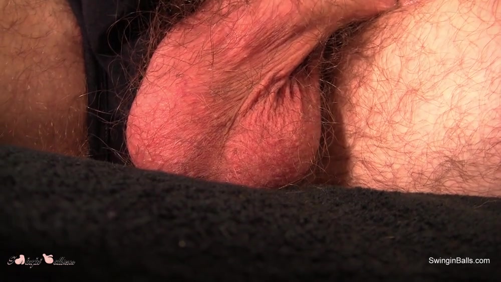 These Balls Are Big N Hairy - SwinginBalls