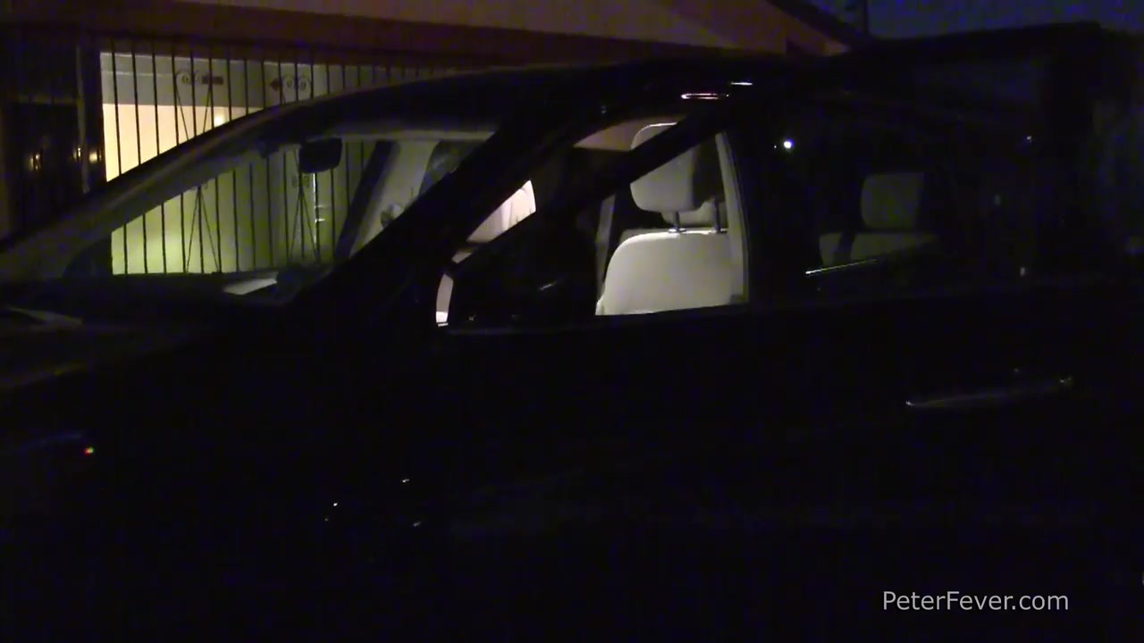 Gayvengers 3: Interrogation - Peterfever