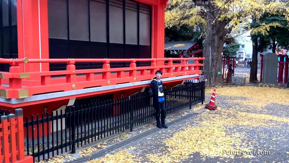 Tokyo Twinkles With Fuji - Peterfever