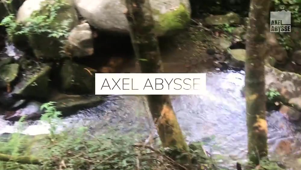 Wild, 2 - AxelAbysse
