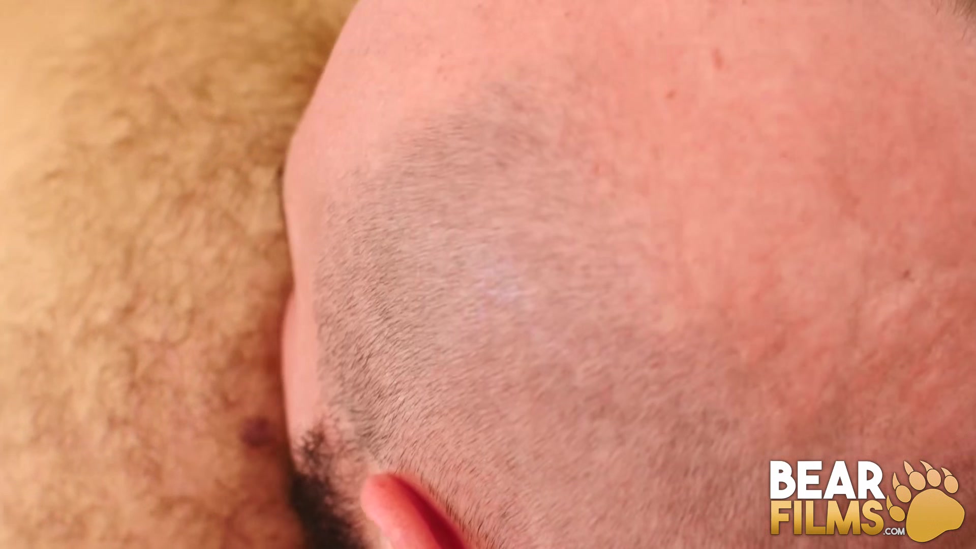 BEARFILMS Bear Justin West Drills Young Cub After Blowjob