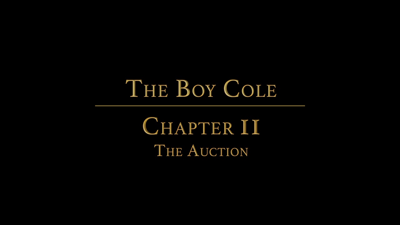 STORY: Boy Cole CHAPTER 2: The Auction - BoyForSale
