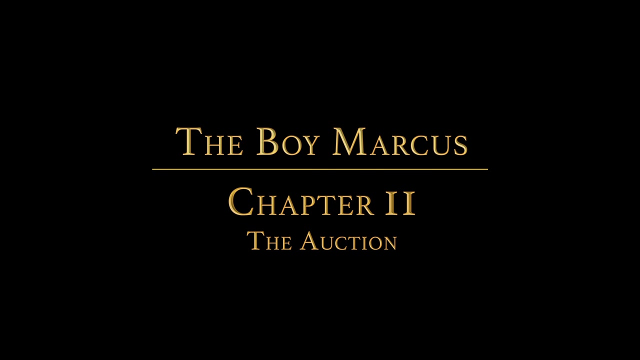 STORY: Boy MarcusCHAPTER 2: The Auction - BoyForSale
