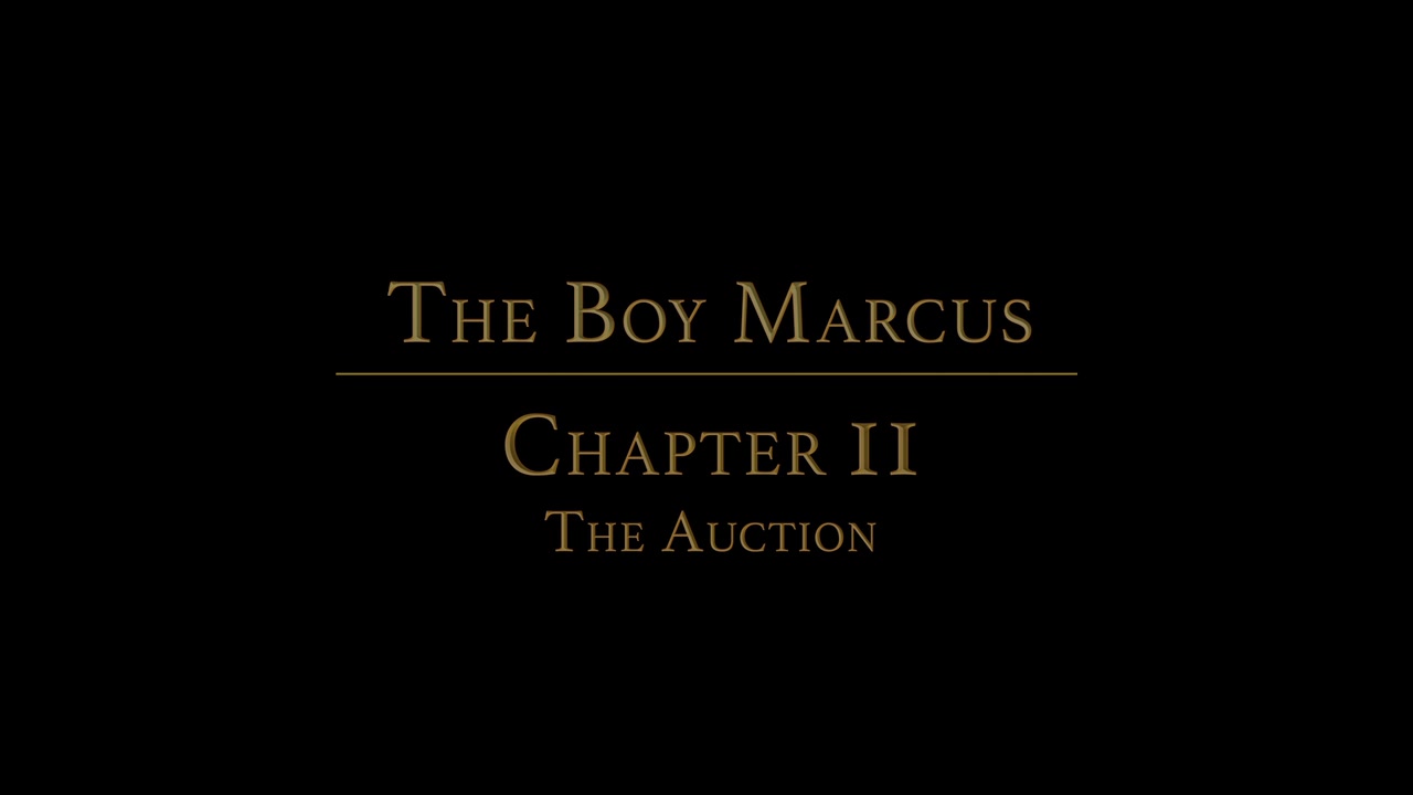 STORY: Boy MarcusCHAPTER 2: The Auction - BoyForSale