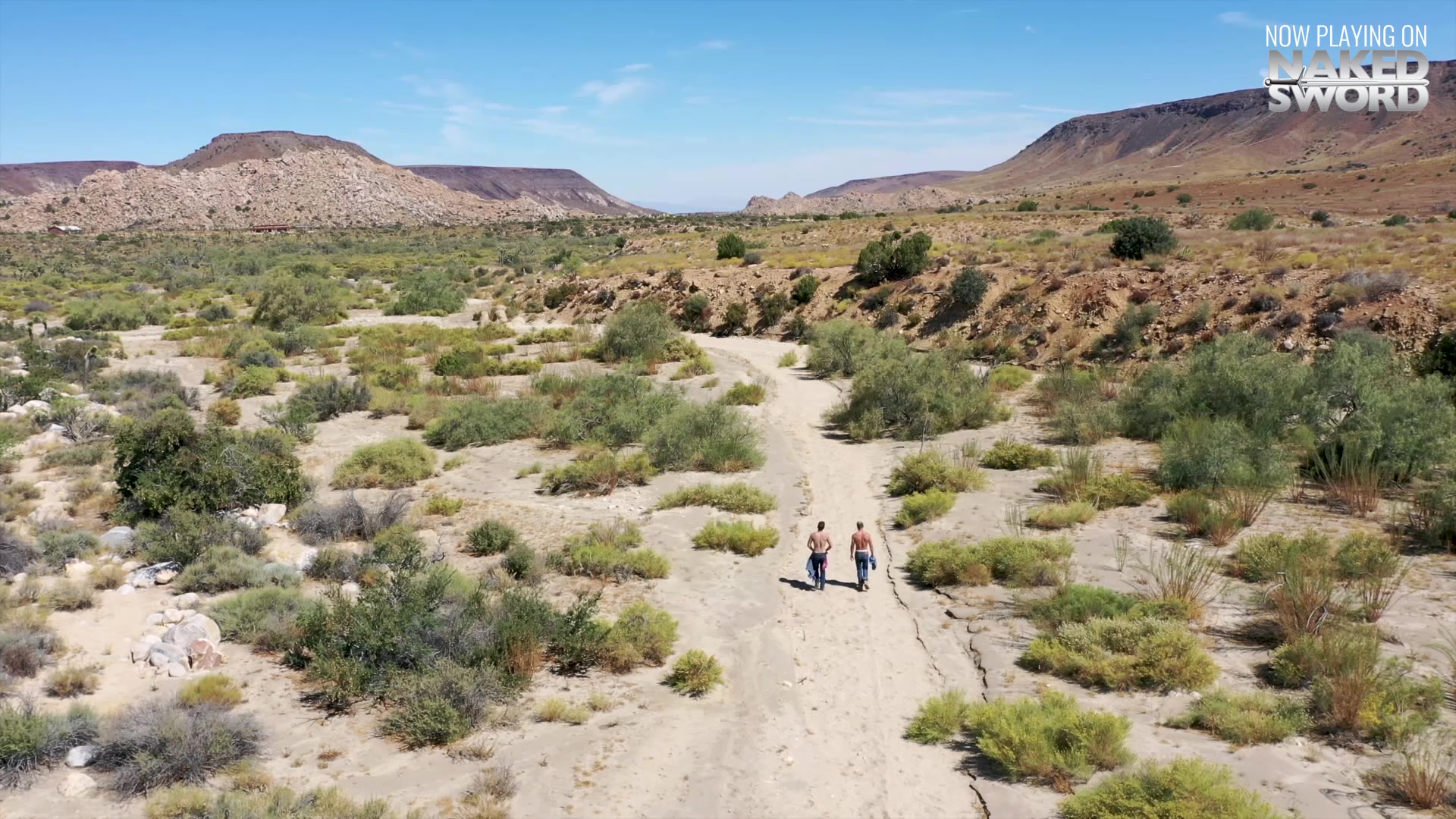 Bareback Ranch - Falcon Studios