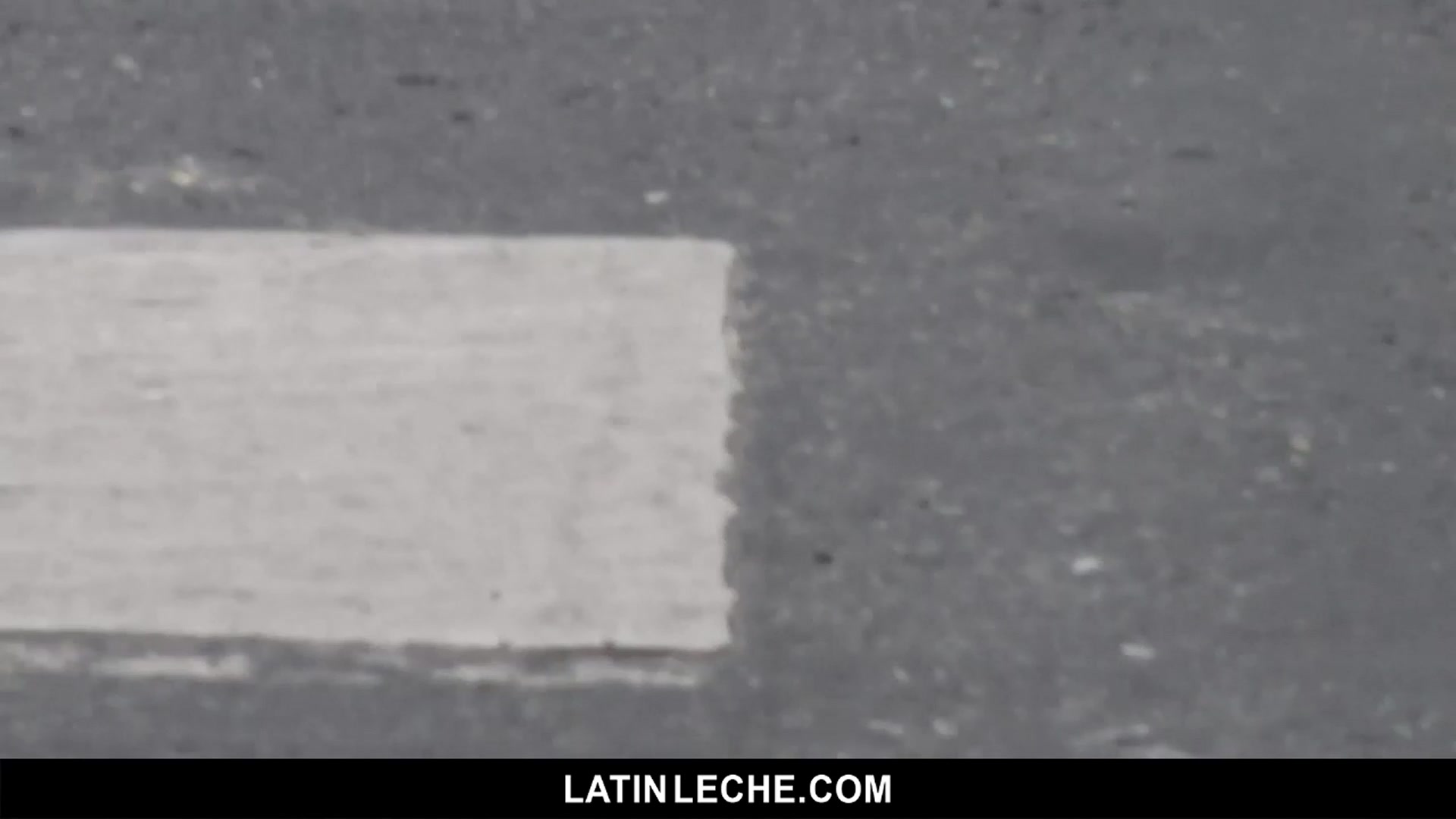 Numero 82 - LatinLeche