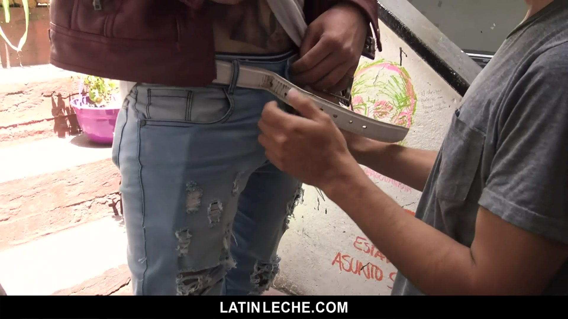Numero 83 - LatinLeche