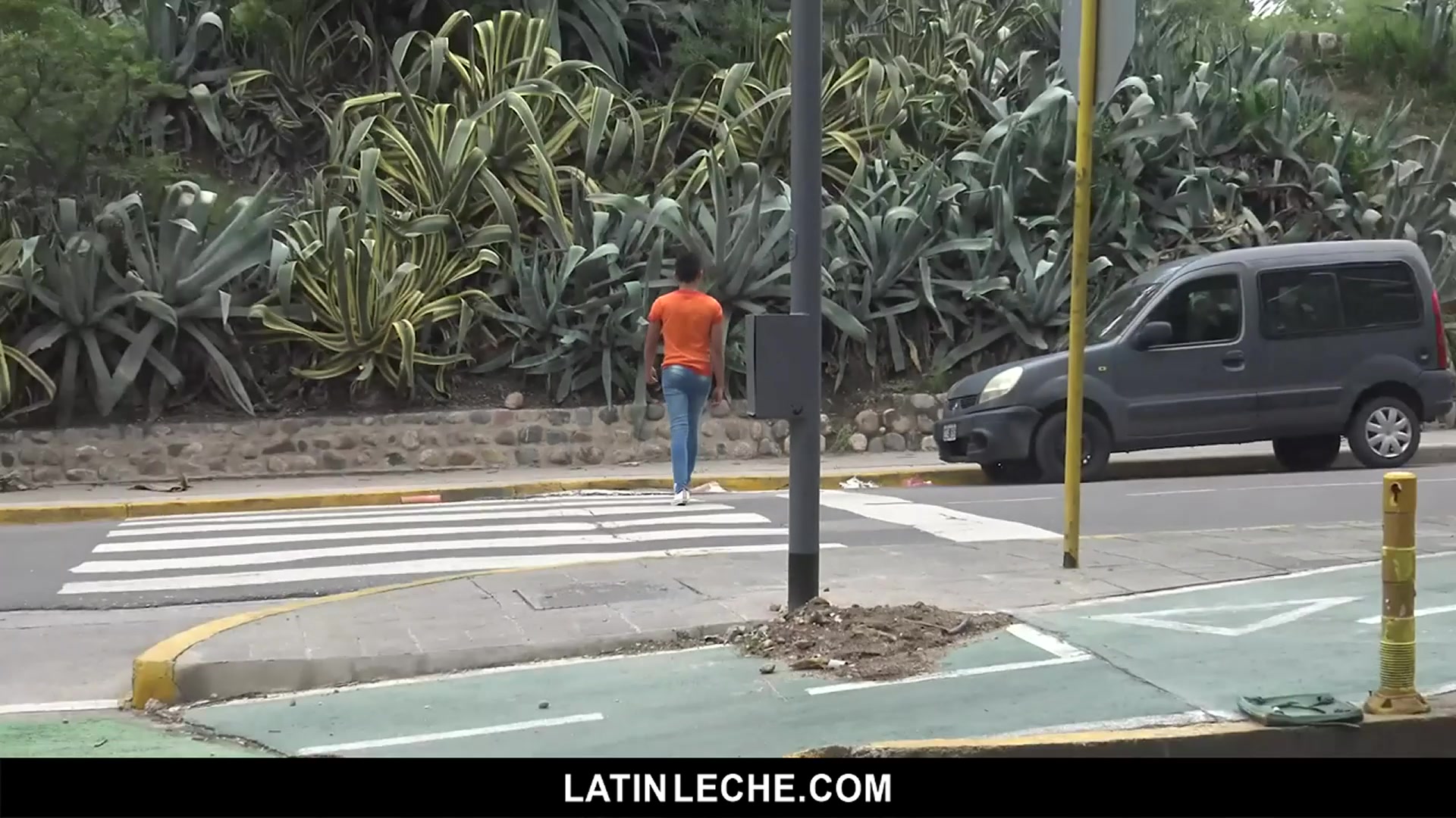 Numero 86 - LatinLeche