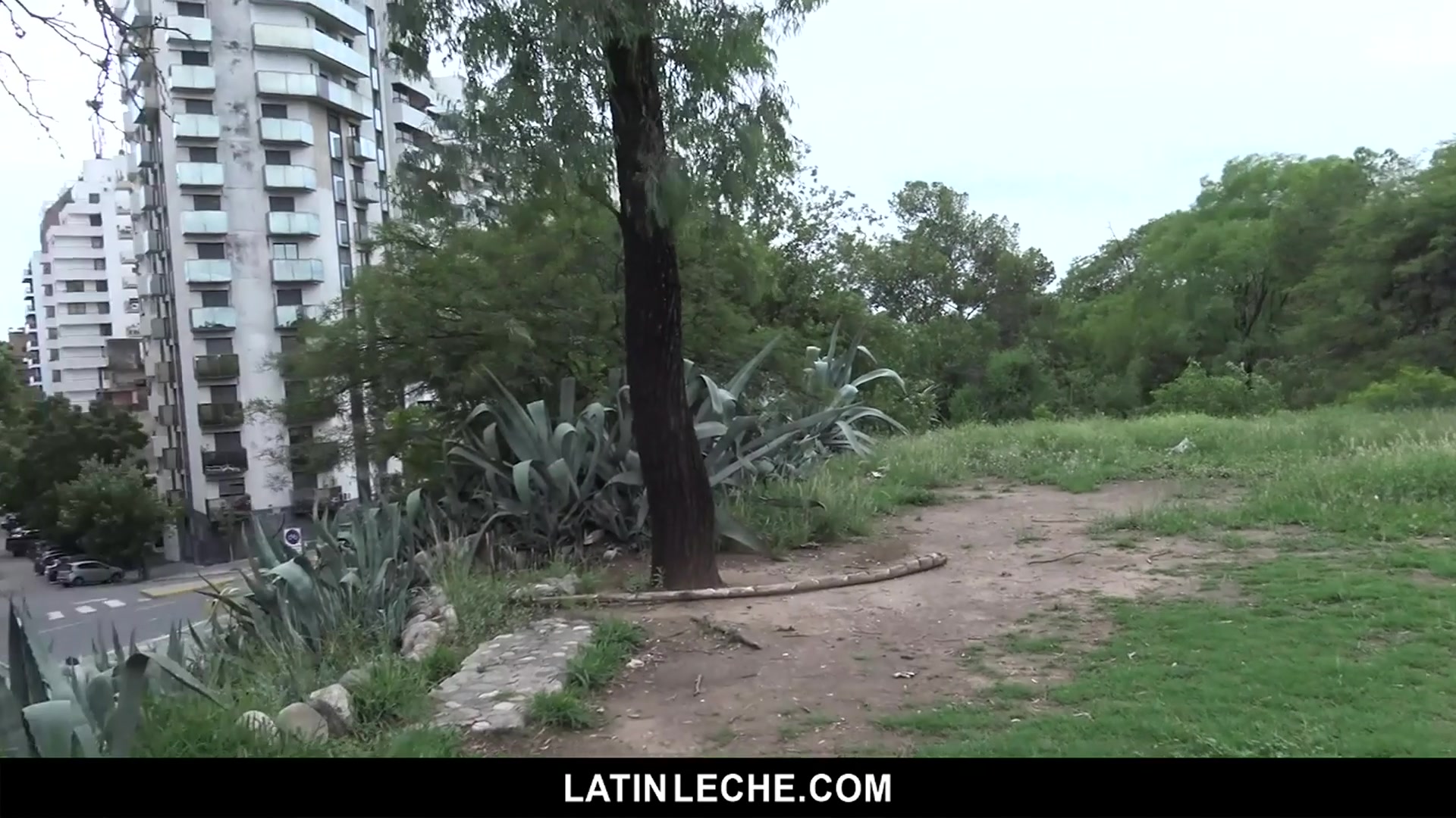 Numero 86 - LatinLeche