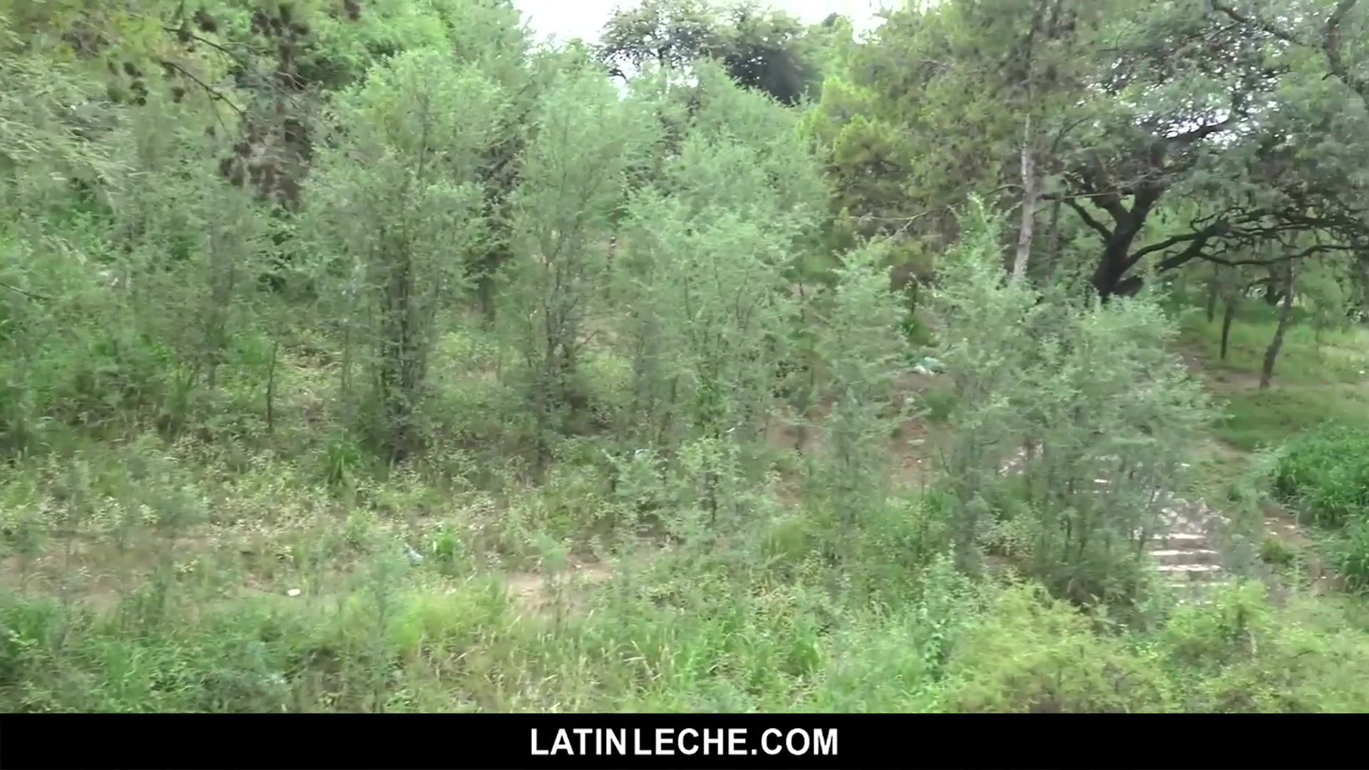 Numero 86 - LatinLeche
