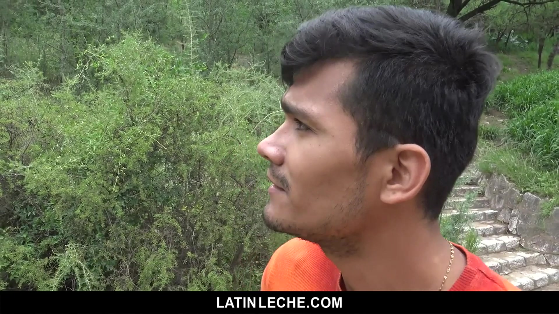 Numero 86 - LatinLeche