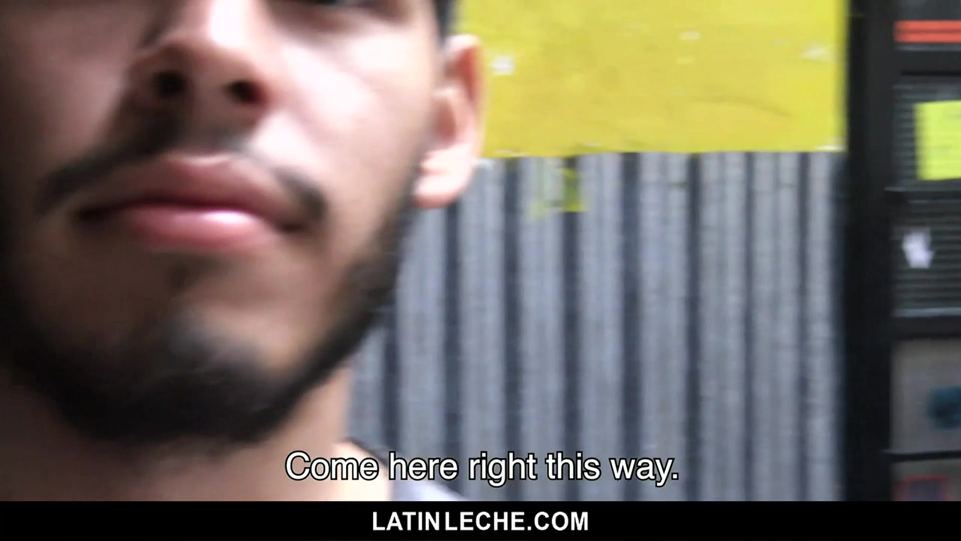 Numero 87 - LatinLeche
