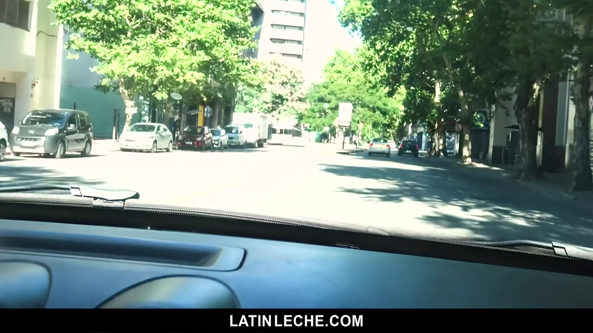 Numero 91 - LatinLeche