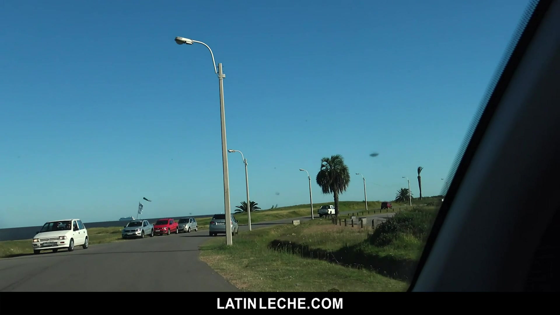 Numero 91 - LatinLeche