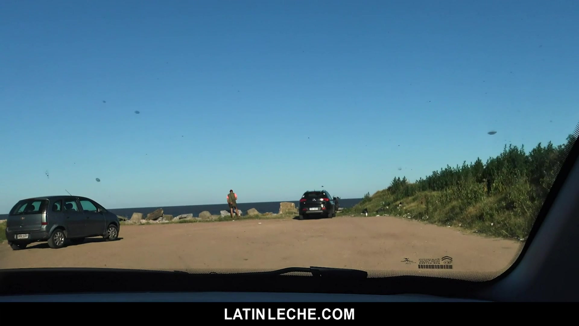 Numero 91 - LatinLeche