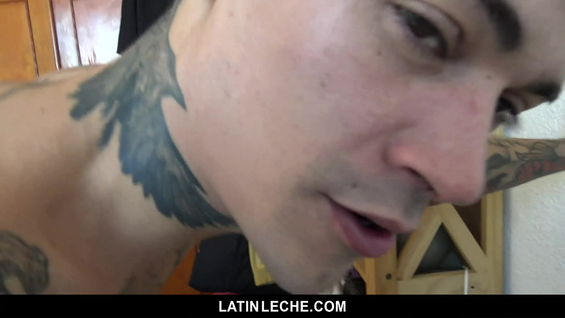 Numero 101 - LatinLeche