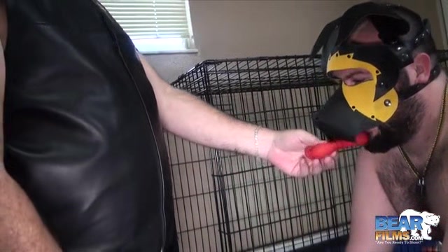 Cameron Nelson and Pup Trash - BearFilms