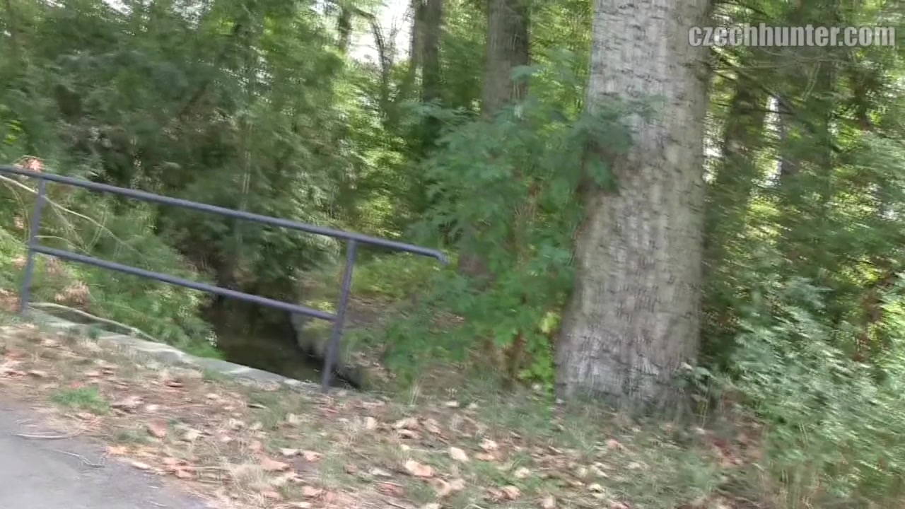 Czech Hunter 369 - BIGSTR
