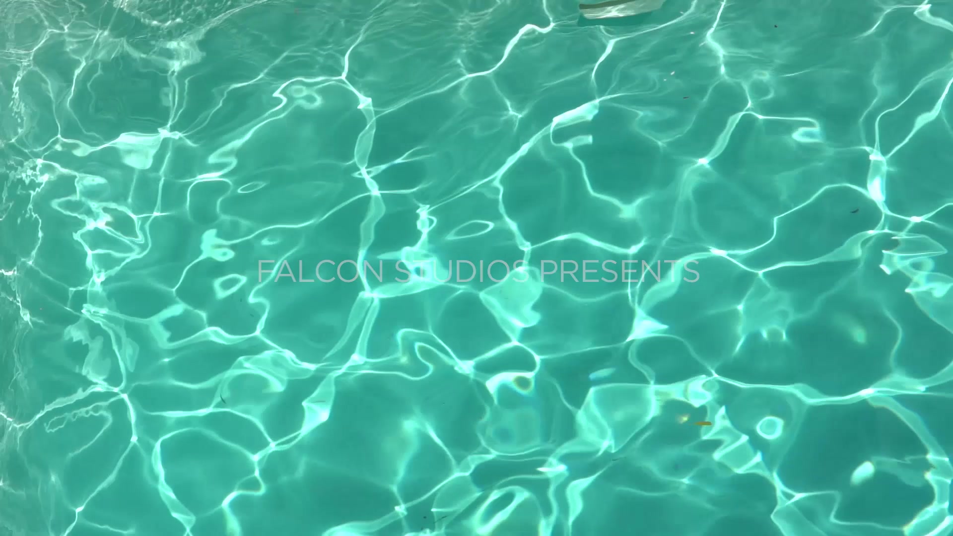Buddy System - Falcon Studios