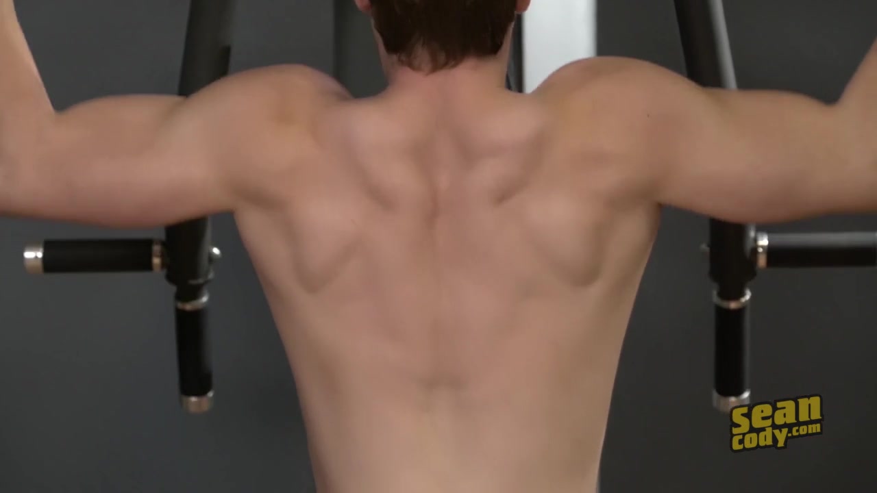 Gino - SeanCody