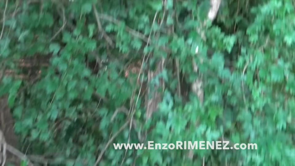 Juan PEREZ fucked bareback by ENZO RIMENEZ
