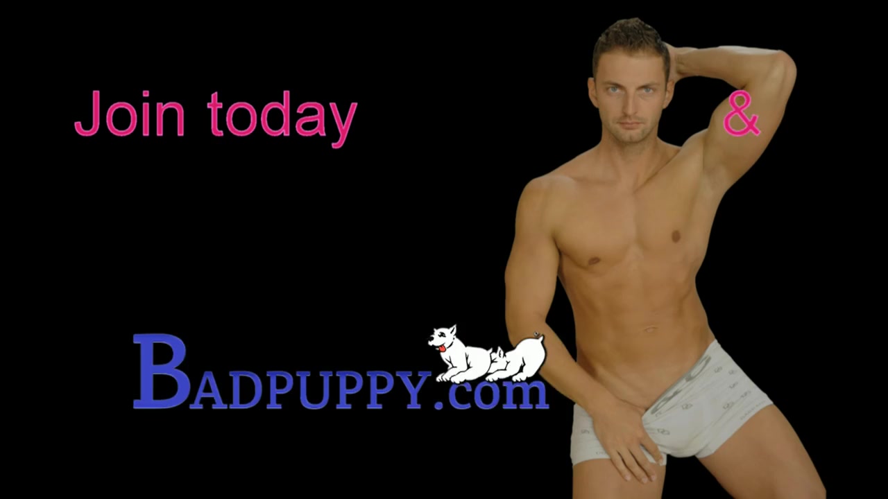 Sherman Maus - Badpuppy
