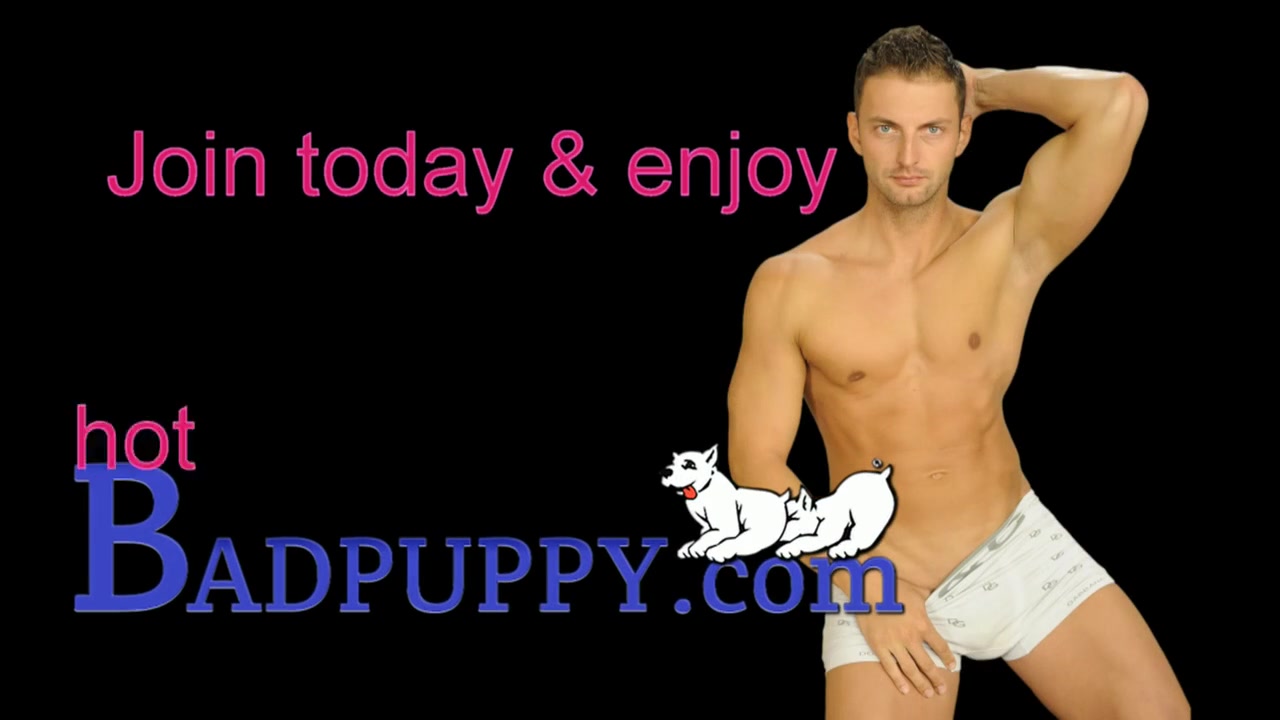 Jay and Cory - Badpuppy
