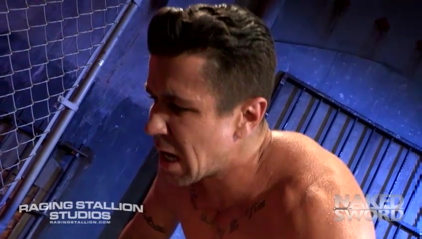 Under My Skin 1 - Raging Stallion