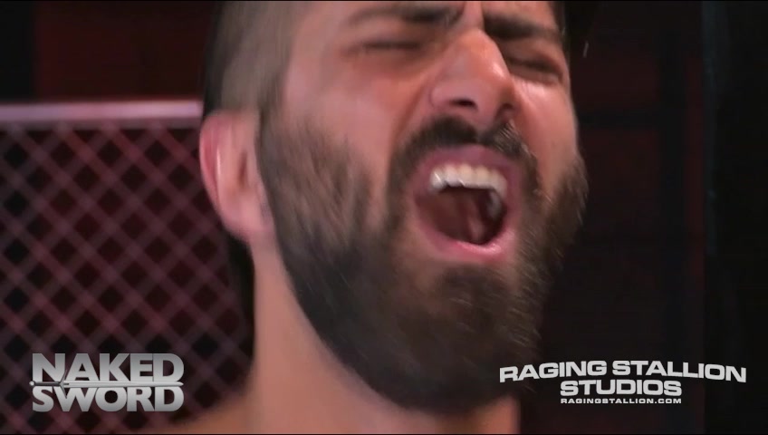 Primal - Raging Stallion