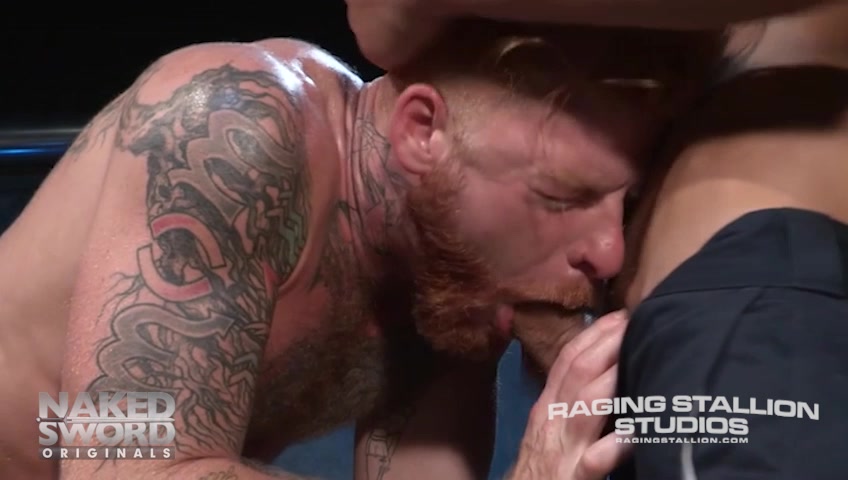 Destroyer - Raging Stallion